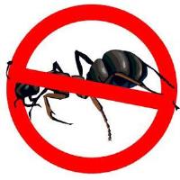 Ant Control Guys image 1